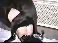 A classic beastiality film shows a lingerie-clad coed spreading her legs to have sex with a dog.